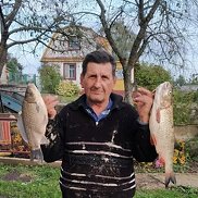 , 66 , 