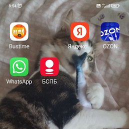 ������ ���������, �����-���������, 57 ���