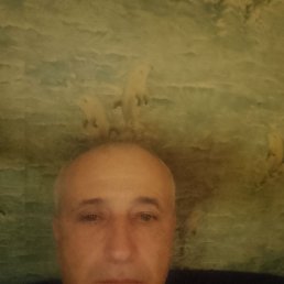 , 51, 