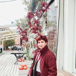 ���� ��������, ��������, 54 ���� - ��������� 31 ������ 2026