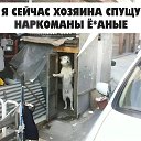 ���� ���������, ���������, 44 ���� - ��������� 5 ����� 2025 � ������ ���� ����������