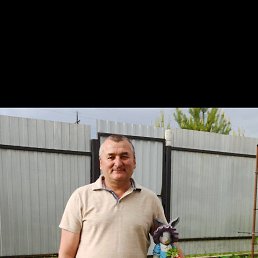 , 57, 