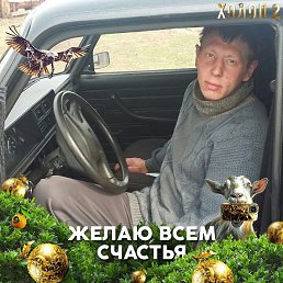 , 31, 