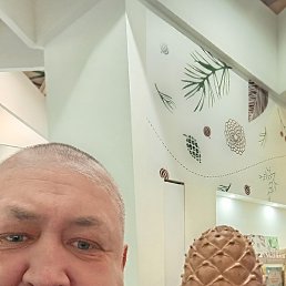 �������, �������, 48 ���