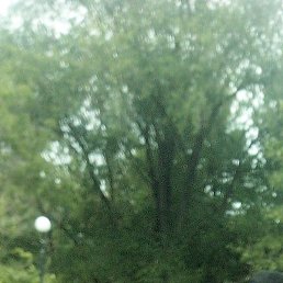 ��������, ������, 50 ���