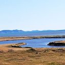 ���� ������, ����-���������, 43 ���� - ��������� 29 ������ 2024 � ������ ���� ����������