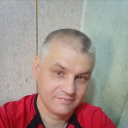 , 41, 