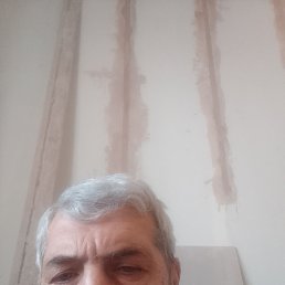 , 56, 