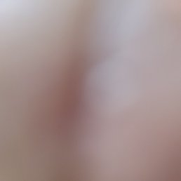 ����, �����������, 40 ���