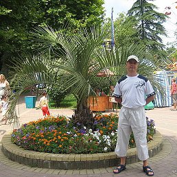 ��������, ������, 49 ���