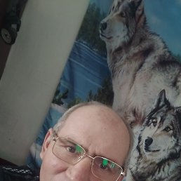 �����, �������, 50 ���