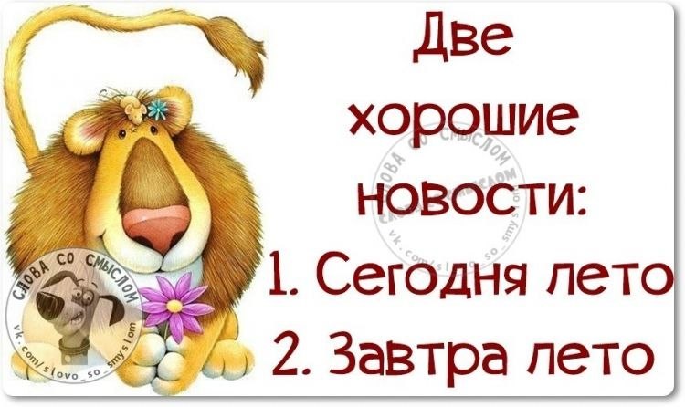  - 1  2025  13:31