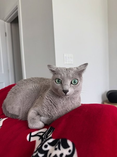  .    ,      .,  ,    ... - 3