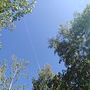 ���� ��������, ����� - ��������� 27 ������� 2025 � ������ ������ ��������