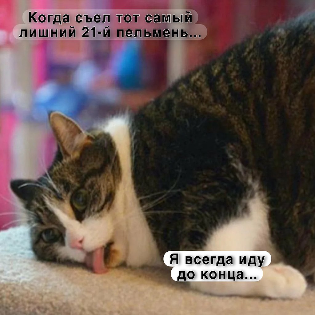   - 31  2024  21:03