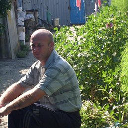 ������, 49 ���, ����