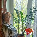 ���� Nina, ���������� - ��������� 7 ��� 2024