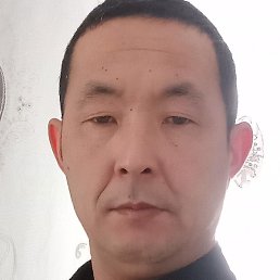 ��������, ���������, 41 ���