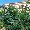 ���� Iga, ������� - ��������� 24 ������ 2024 � ������ �������,��������...�