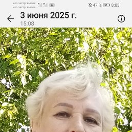 , 65, 