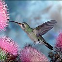 ���� ������, �����������, 40 ��� - ��������� 8 ������ 2024