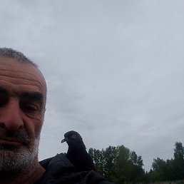 ���� ������, �����, 48 ��� - ��������� 20 ����� 2026