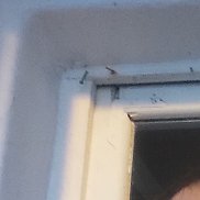 , 37 , 