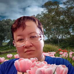 , 34, 