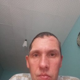 , 37, 