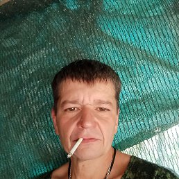 , 53 , 