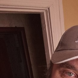 ����, �����-���������, 41 ���