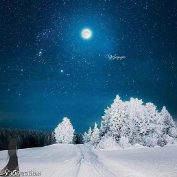 �������, ������, 46 ���