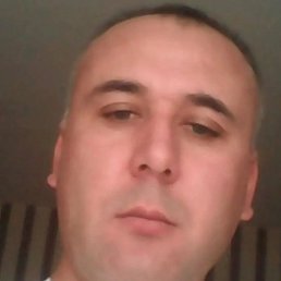 ���������, �����������, 48 ���