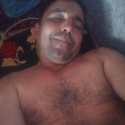 ���� �����, ���������, 40 ��� - ��������� 17 ���� 2026