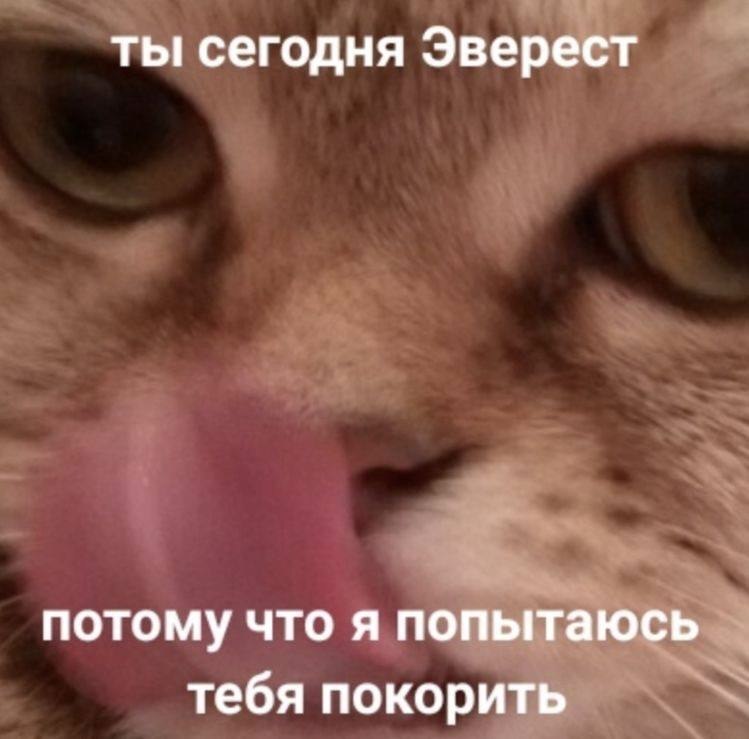   - 11  2024  14:15