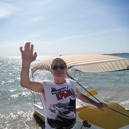 , 53 , 
