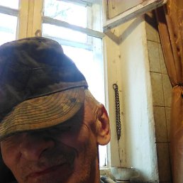 ������, �����, 67 ���