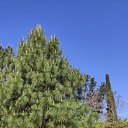 ���� �����, ���, 61 ��� - ��������� 13 ��� 2025 � ������ ���� ����������