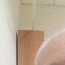 �����, ������, 57 ���