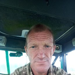 , 46 , 
