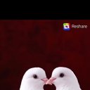 ���� �����, ���������, 43 ���� - ��������� 21 ������� 2026 � ������ ���� ����������