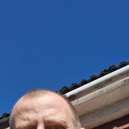, 29, 