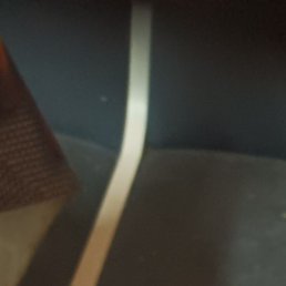 ������, ����, 42 ����