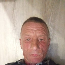 , 41, 
