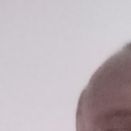 ���������, ����, 40 ���