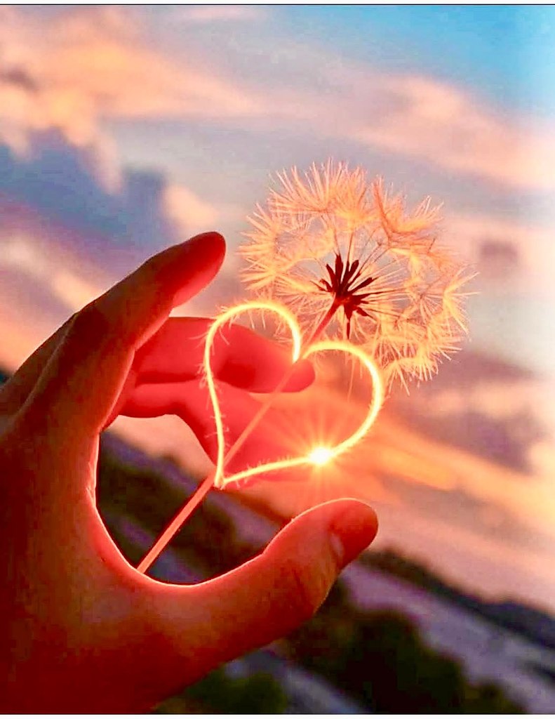   :   ?  :  -   .     ,  ...