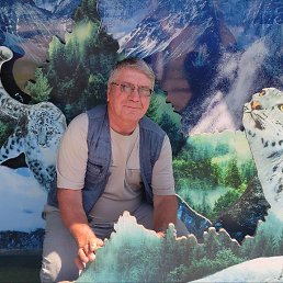 ���� ����, �����, 64 ���� - ��������� 12 ������ 2026