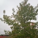 ���� ���������, ����� - ��������� 30 �������� 2025 � ������ ��������������� ����ܻ