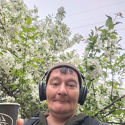 , 45, 