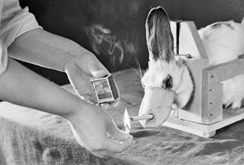       , 1967 . :  